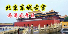 屄屄好爽想被插的小骚屄想操被颜射视频中国北京-东城古宫旅游风景区